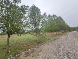 Plot Area in  Plot at Hosur Krishnagiri rd – for Sale