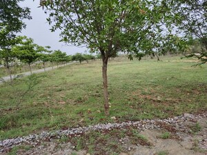  Plot For Sale in Hosur Krishnagiri rd