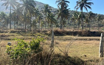 Plot For Sale in Chokkanahalli