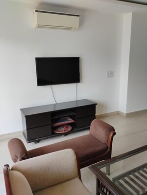 Living Room in 3 BHK Builder Floor at South Extension ii – for Rent