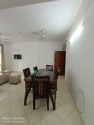 1.5 BHK Apartment For Rent in Maple Heights, Sector 43