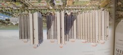 3 BHK Apartment For Sale in Prateek Grand Begonia