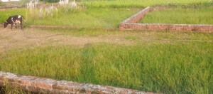 Plot Area in  Plot at Khorabar – for Sale