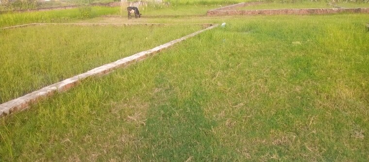 Garden, khorabar  1000 Sq.Ft. Plot In Khorabar Gorakhpur 9225999