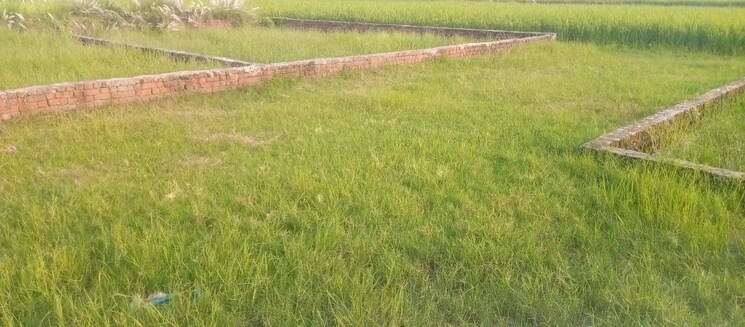 Garden, khorabar  1000 Sq.Ft. Plot In Khorabar Gorakhpur 9225999