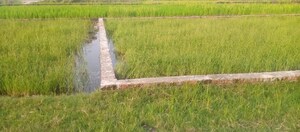 Plot Area in  Plot at Khorabar – for Sale