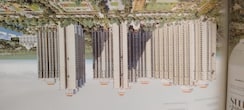 3 BHK Apartment For Sale in Prateek Grand Begonia
