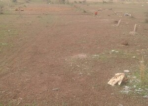  Plot For Sale in Mohammadwadi