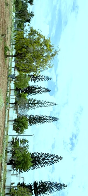  Plot – Exterior View View at Kumbalgodu - for Sale