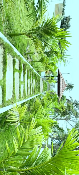  Plot – Exterior View View at Kumbalgodu - for Sale