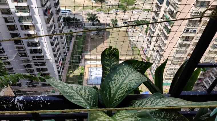 Balcony, saviour-greenisle 2.5 Bedroom 1150 Sq.Ft. Apartment In Sain Vihar Ghaziabad 9226475