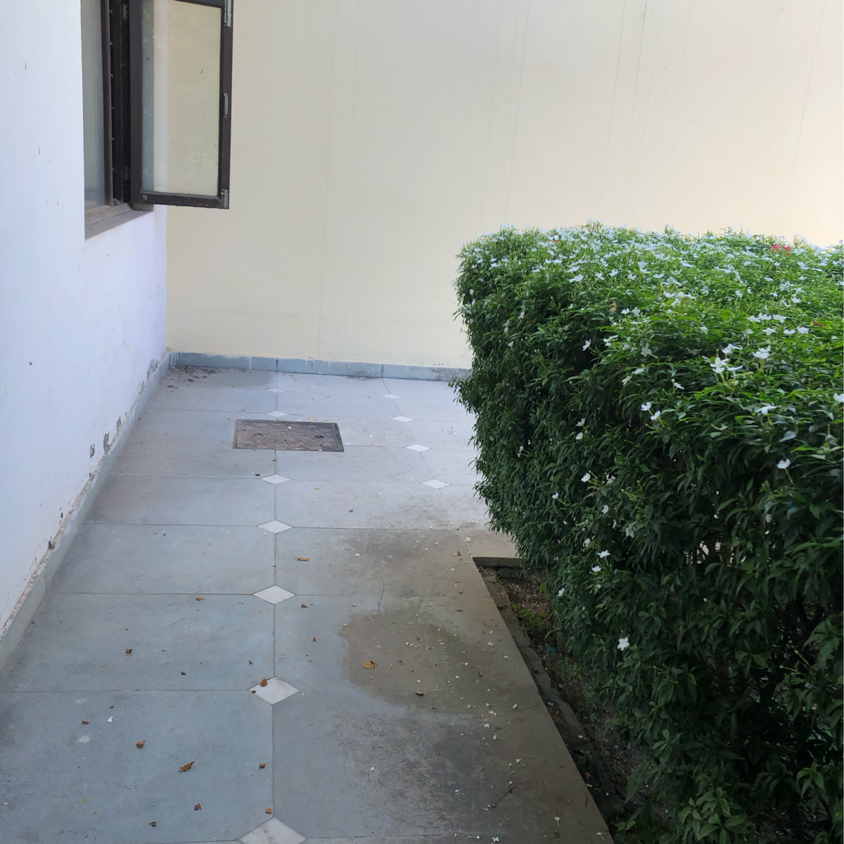 1.5 BHK Villa For Rent in Sector 23