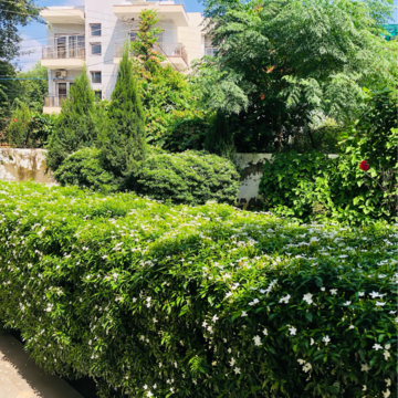 1.5 BHK Villa – Garden View at Sector 23 - for Rent
