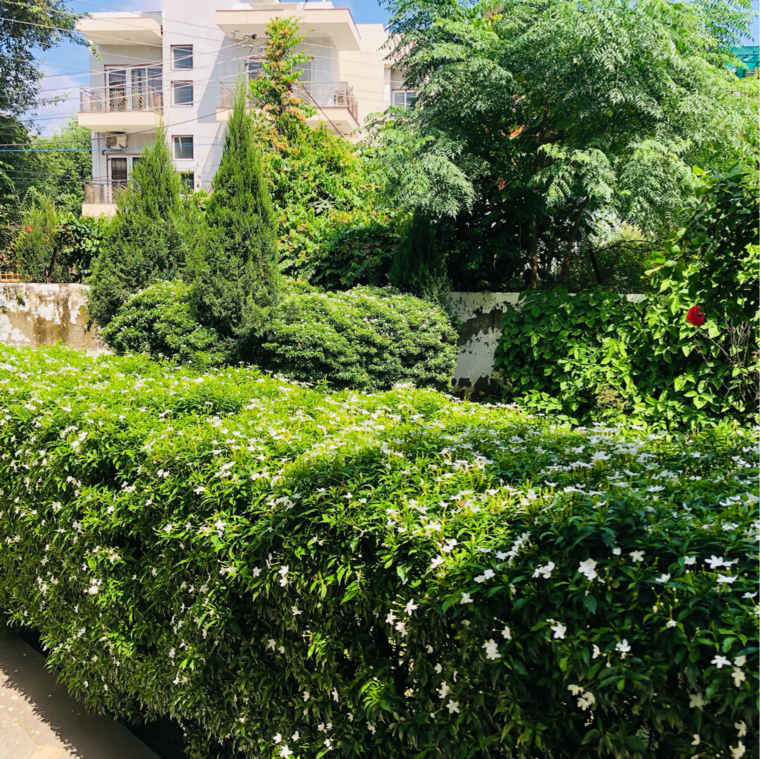 Garden, sector 23 1.5 Bedroom 1000 Sq.Ft. Villa In Sector 23 Gurgaon 9226529