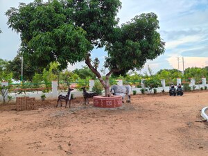  Plot – Exterior View View at JSR Sun City, Vangapally - for Sale