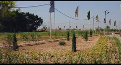 Plot For Sale in Raipur Rani