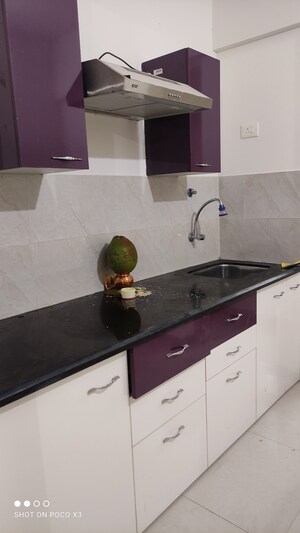 1 BHK Apartment For Rent in Raunak Delight, Owale