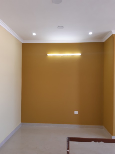 2 BHK + Pooja Room Builder Floor For Rent in Ansal Plaza Sector-23
