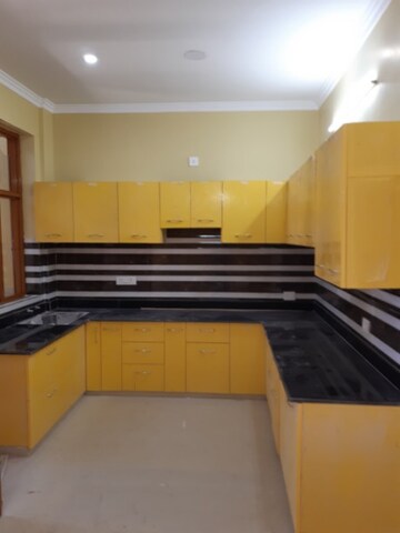 Kitchen in 2 BHK Builder Floor at Ansal Plaza Sector-23, Sector 23 – for Rent
