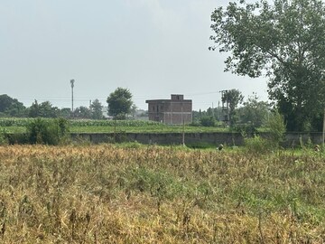  Plot For Sale in Dadasiya