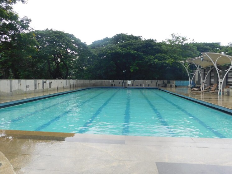 Swimming Pool, kalpatru-apartment 2 Bedroom 950 Sq.Ft. Apartment In Jogeshwari East Mumbai 9227788