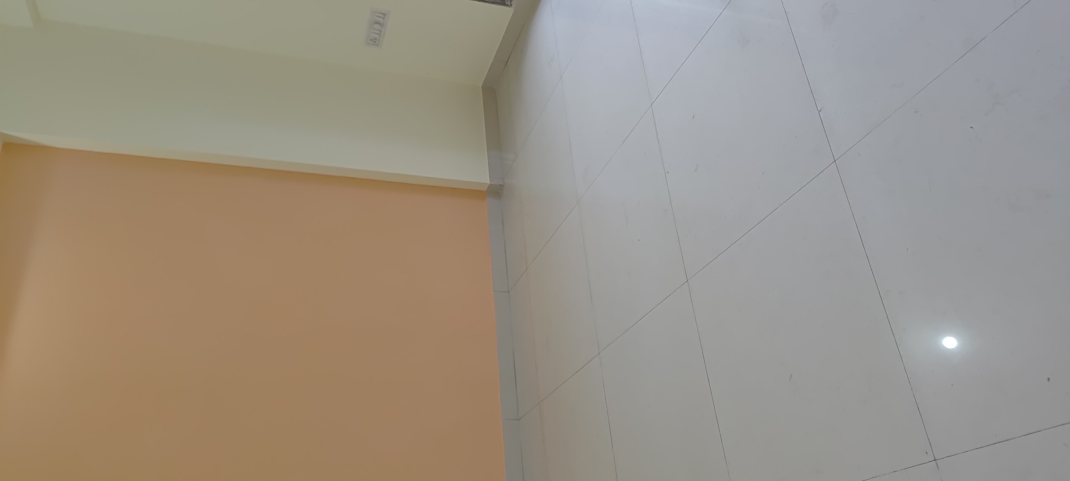 1 BHK Apartment For Rent in Metropolis Aquaris Phase 1