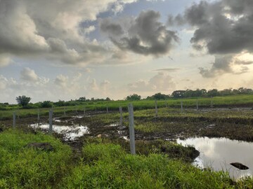  Plot For Sale in Divya Residency Navi Mumbai, Ranjanpada