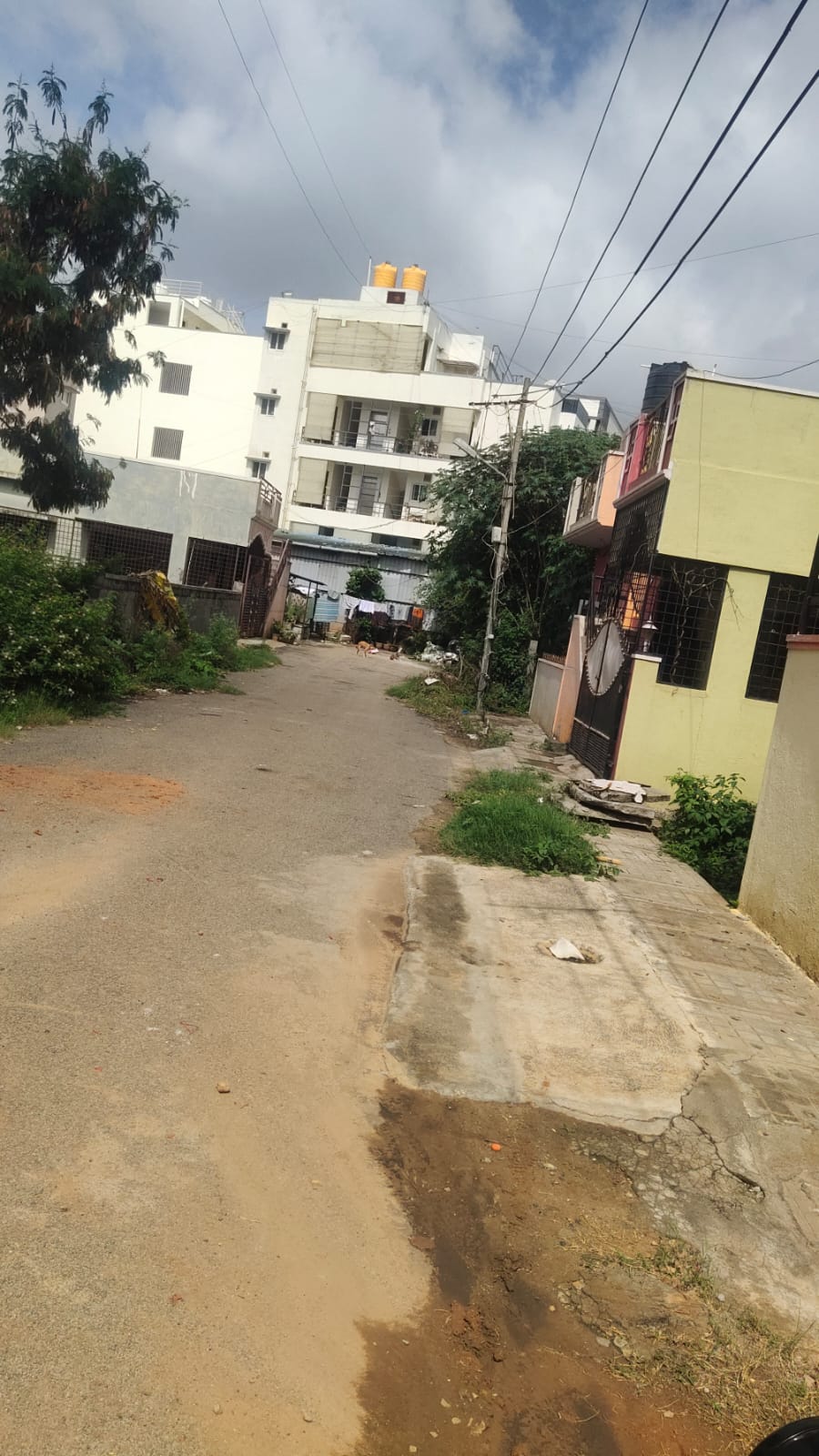 Plot For Sale in Nishchay