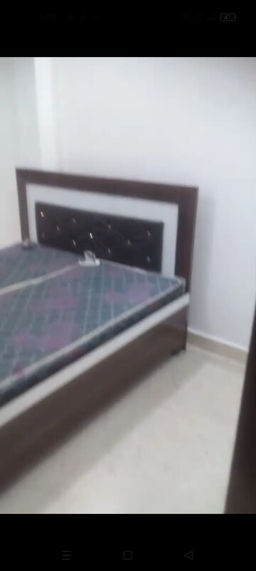 1 BHK Builder Floor For Rent in Pitampura