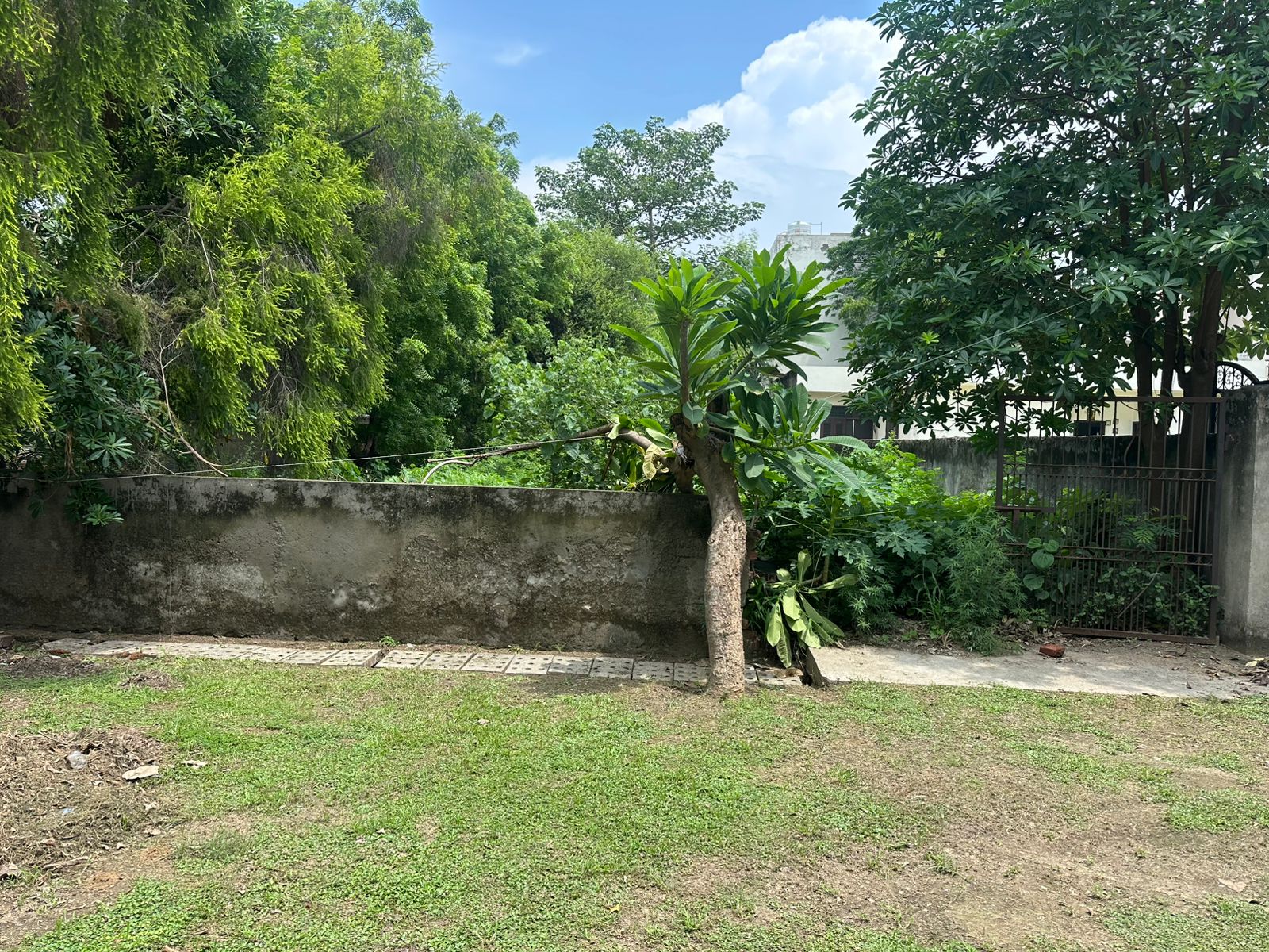 Plot For Sale in Sigma I Greater Noida