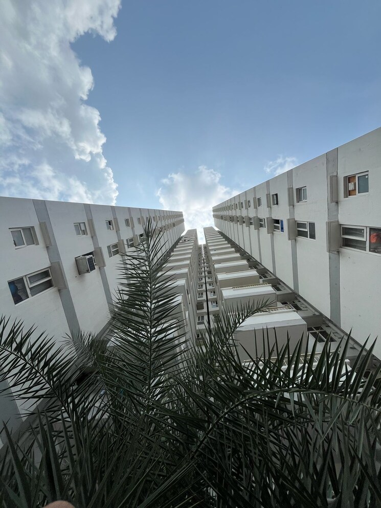 Exterior View, zara-rossa 2 Bedroom 900 Sq.Ft. Apartment In Sector 112 Gurgaon 9228379