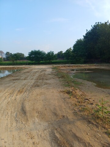 Plot Area in  Plot at Bhopani – for Sale