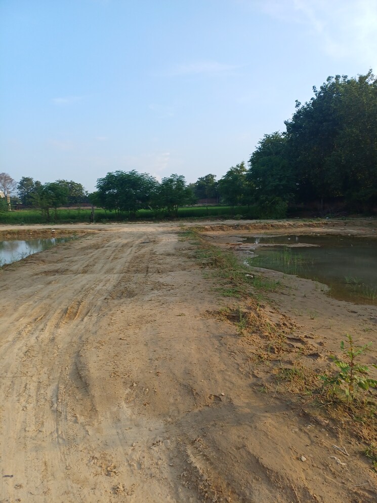 undefined, bhopani  69 Sq.Yd. Plot In Bhopani Faridabad 9228394