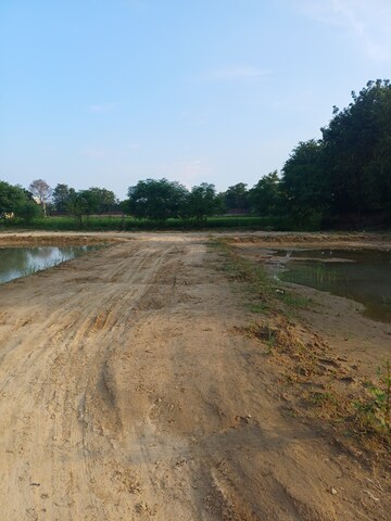 Plot Area in  Plot at Bhopani – for Sale