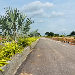 Plot For Sale in JB Nature Valley