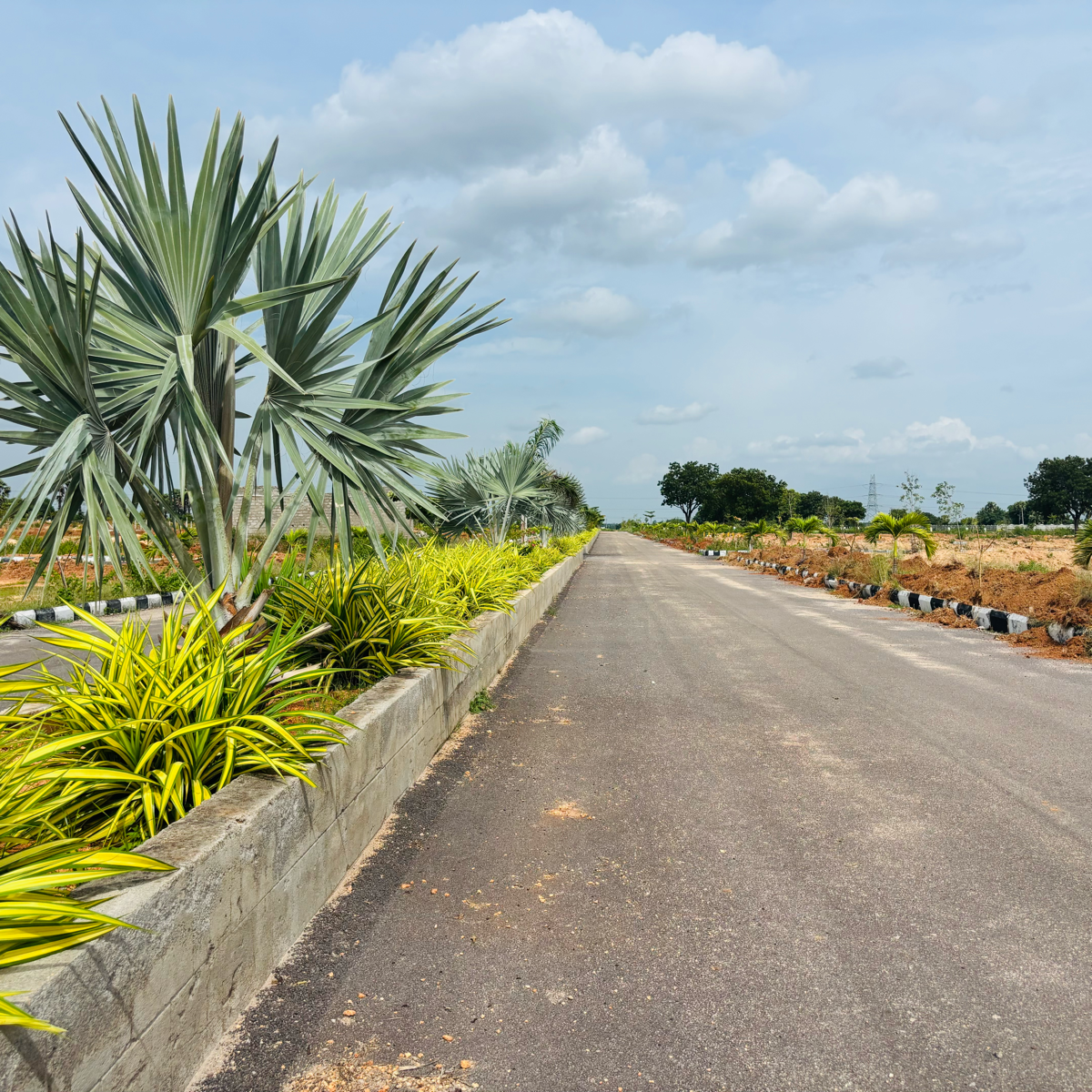 Plot For Sale in JB Nature Valley