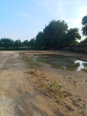 Plot Area in  Plot at Bhopani – for Sale