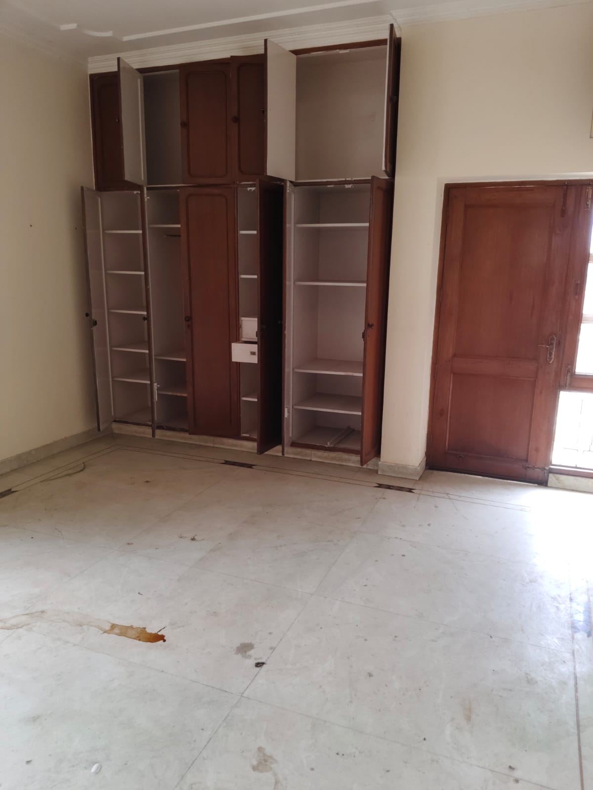 2 BHK + Study Room Builder Floor For Rent in Sukhdev Vihar