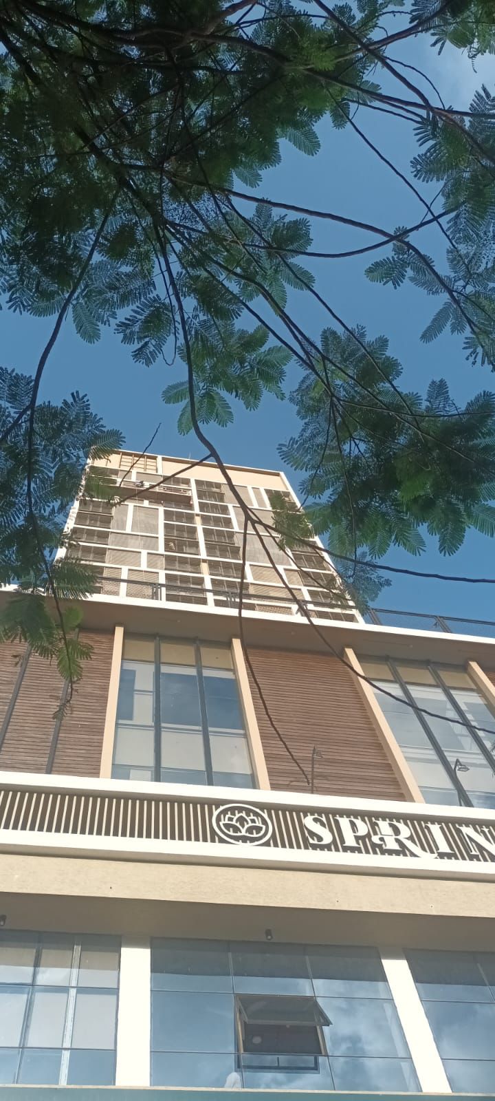 1 BHK Apartment For Rent in Queenstown Springs