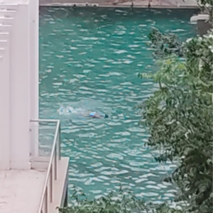 Balcony in 2 BHK Apartment at Marvel Fria, Wagholi – for Sale