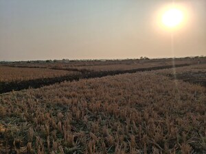  Plot For Sale in Bhoomi Dronagiri, Dronagiri