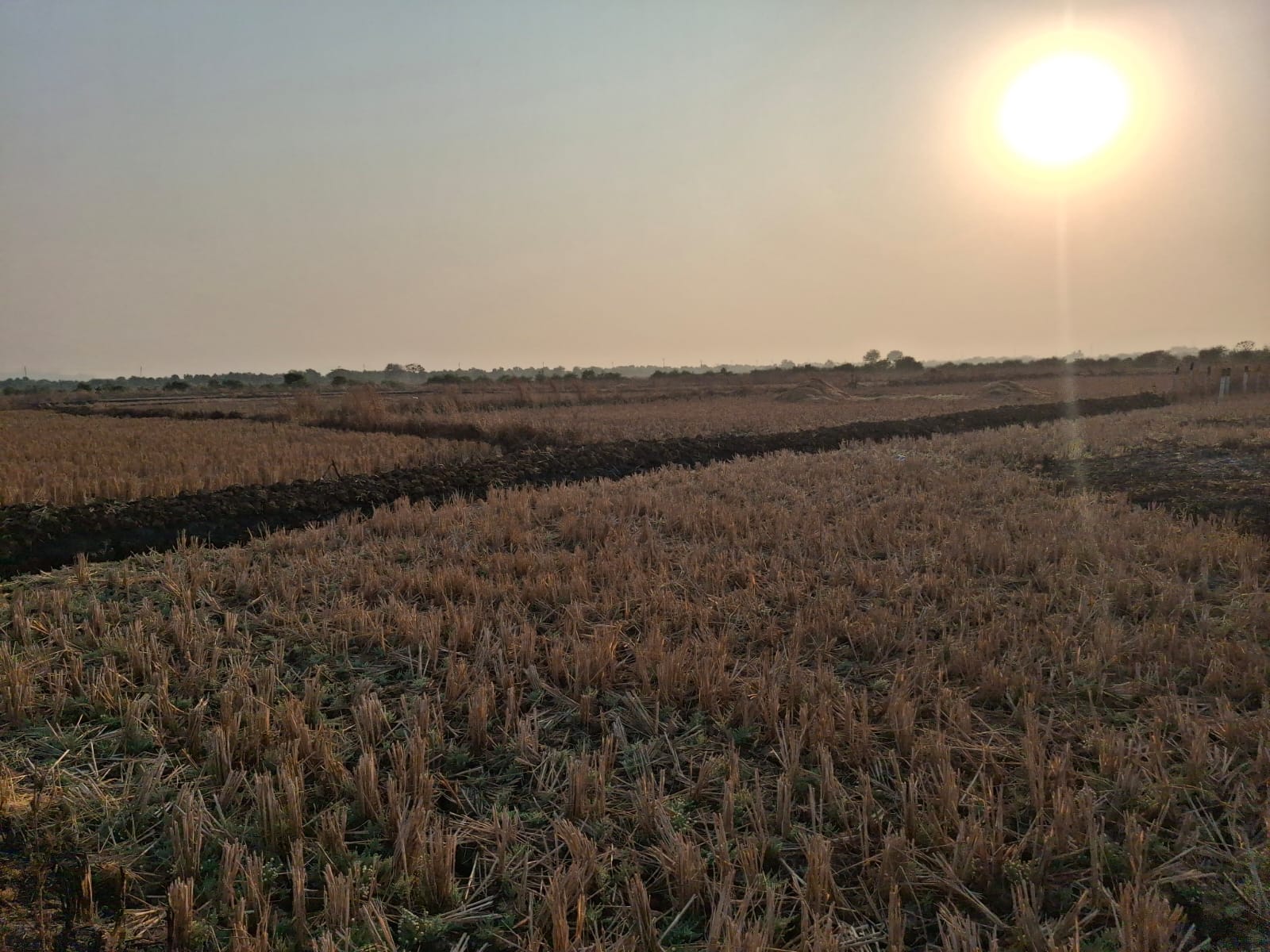 Plot For Sale in Bhoomi Dronagiri