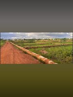 1500 Sq.Yd. Plot in Patrapada