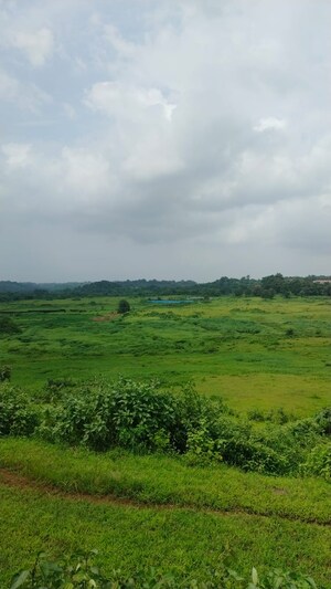  Land For Sale in Mane Palms, Karjat