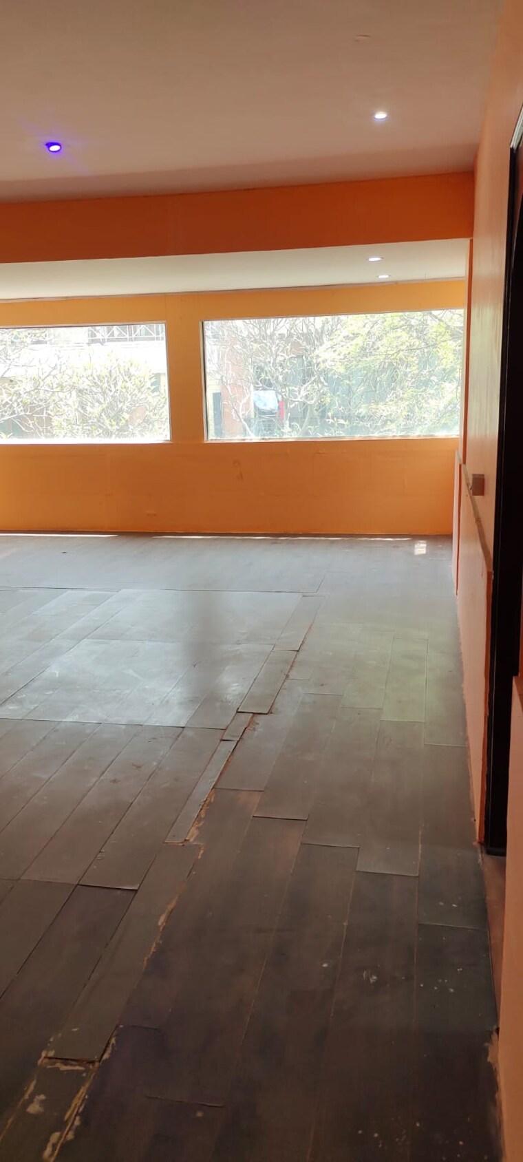 Room, hauz khas 3 Bedroom 2000 Sq.Ft. Builder Floor In Hauz Khas Delhi 9229417