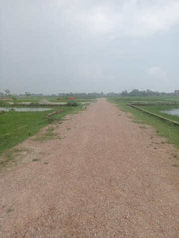  Plot – Exterior View View at Ramnagar - for Sale
