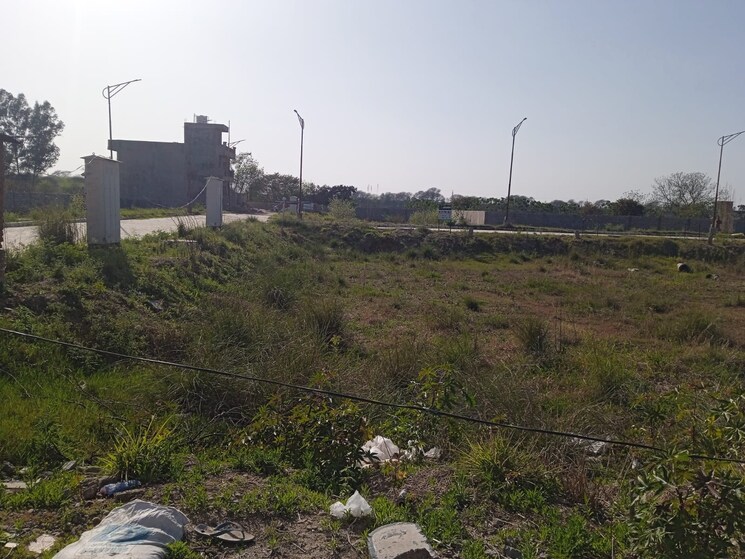 undefined, sector 110  250 Sq.Yd. Plot In Sector 110 Mohali 9229587