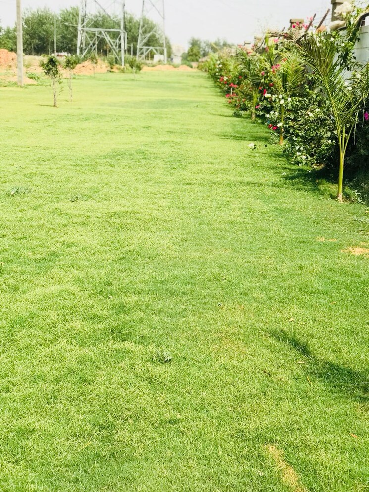 Garden, sector 113 3 Bedroom 2043 Sq.Ft. Builder Floor In Sector 113 Mohali 9229603