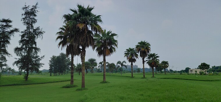 Garden, supertech-golf-country-plots  200 Sq.Yd. Plot In Sector 22b Yamuna Expressway Greater Noida 9229720
