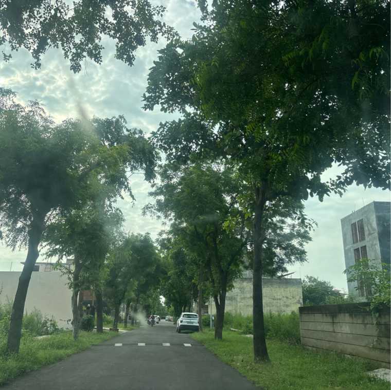 Garden, zestha-bhagirath-vihar-residency  200 Sq.Yd. Plot In Murshadpur Greater Noida 9229932